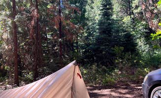 Jon's photo at Mount Shasta City KOA Holiday near Weed, CA