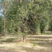 Review photo of Twin Bridges Park by Tony C., July 23, 2022