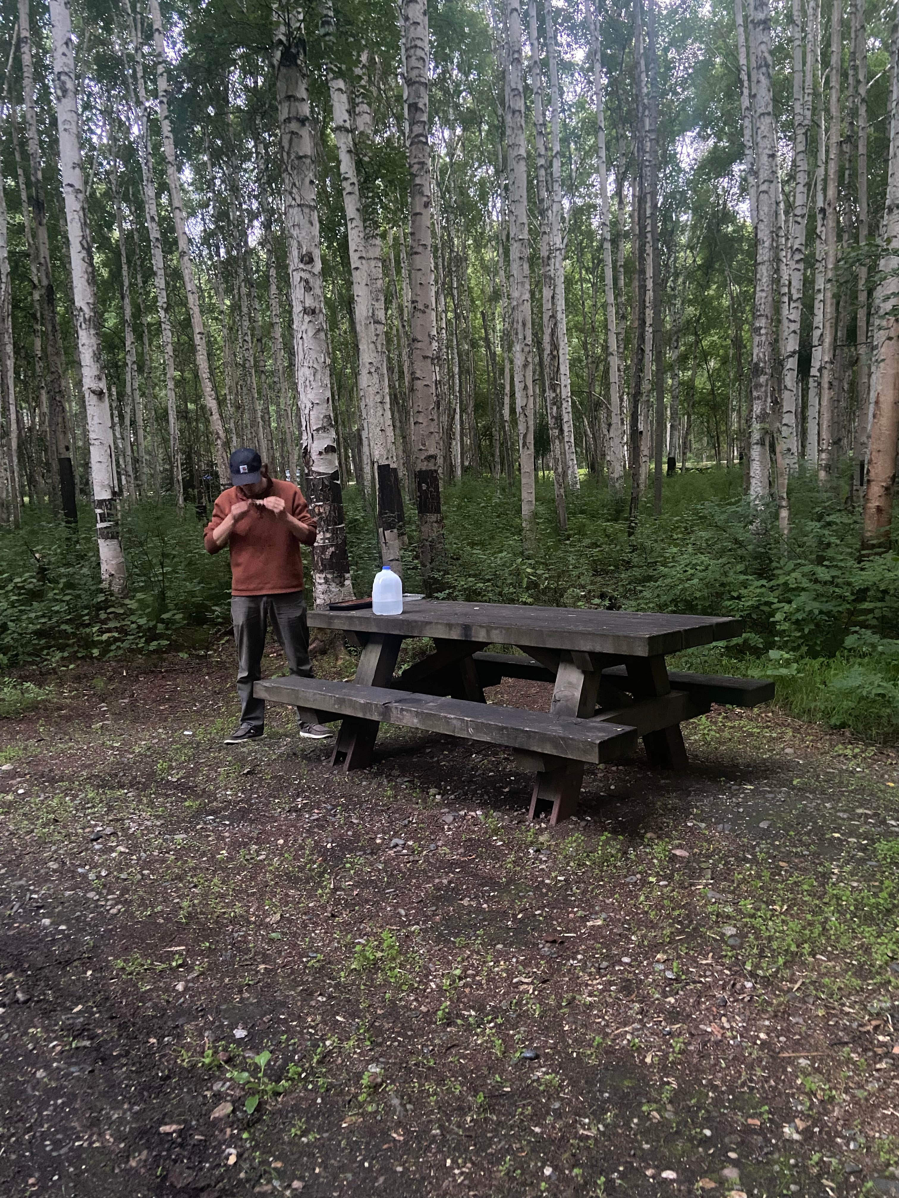 Camper submitted image from Chena Lake Recreation Area - 5
