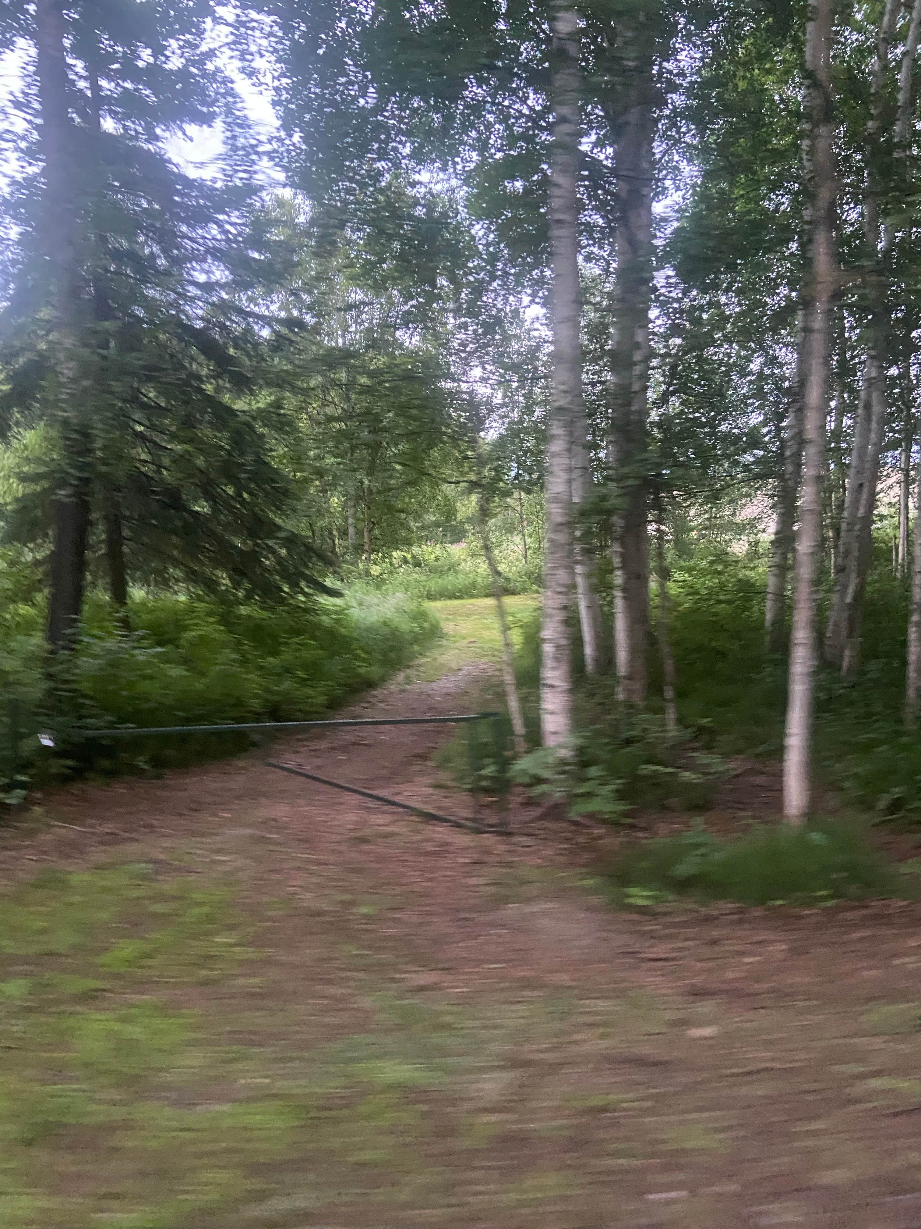 Camper-submitted photo at Chena Lake Recreation Area near Eielson AFB, AK