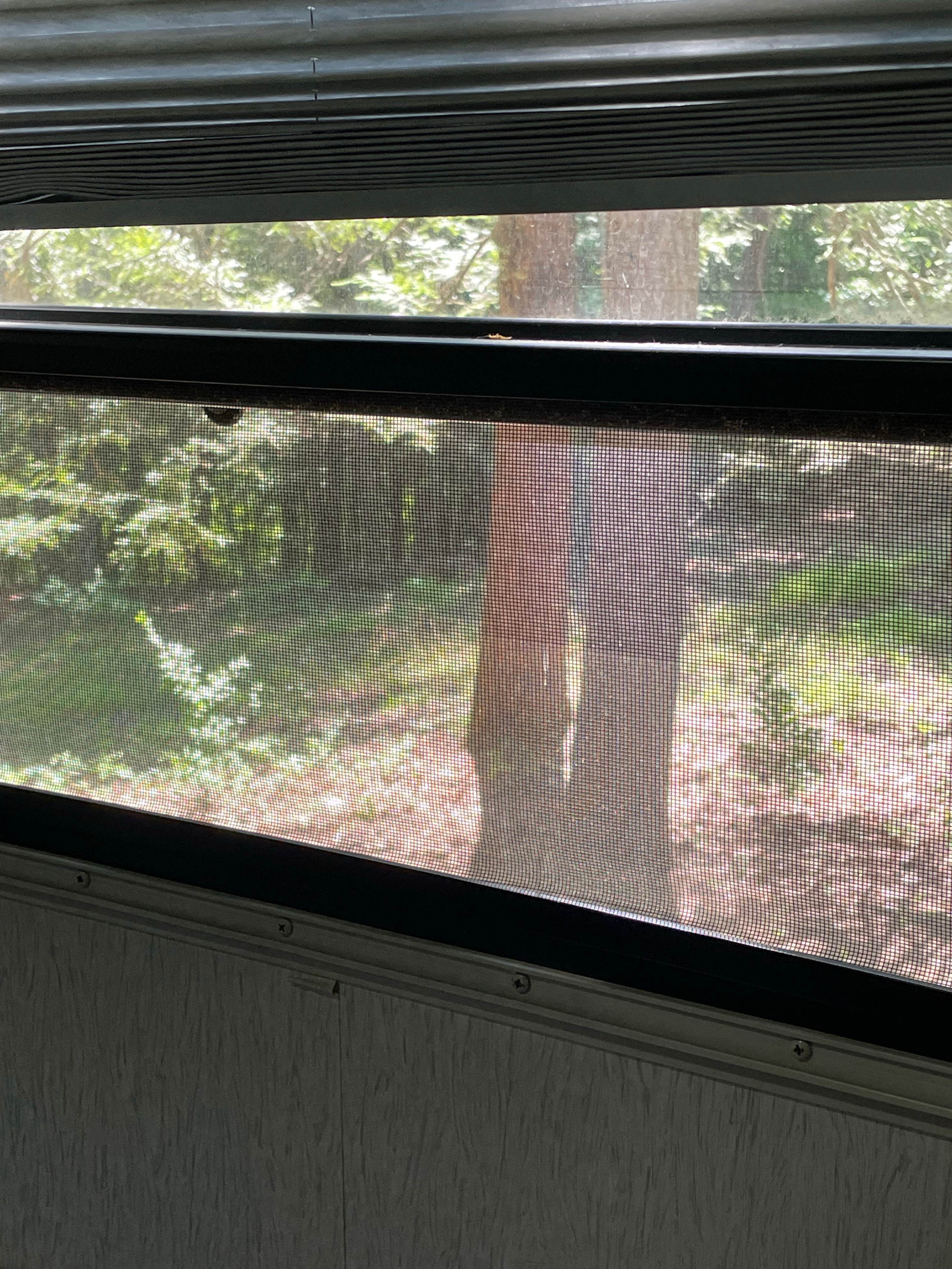 Camper submitted image from Fall Creek Campground — Tennessee Valley Authority (TVA) - 2