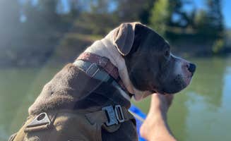 Jeff K.'s photo of camping with pets at Fish Creek Dispersed near Yakima, WA