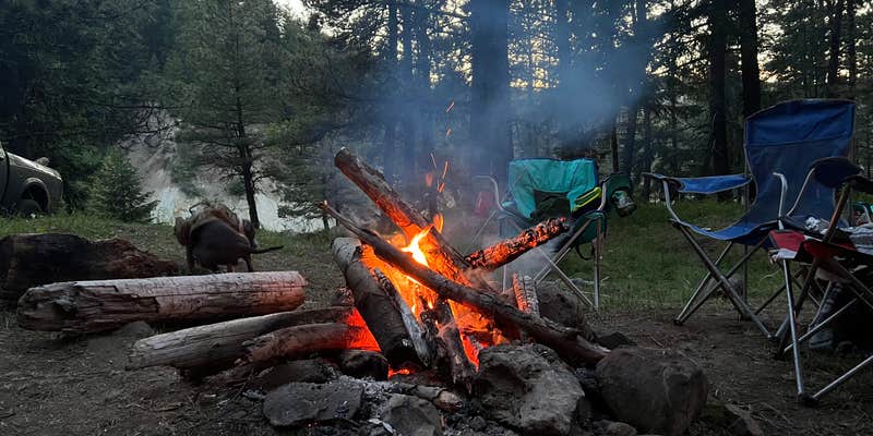 Camper submitted image from Fish Creek Dispersed