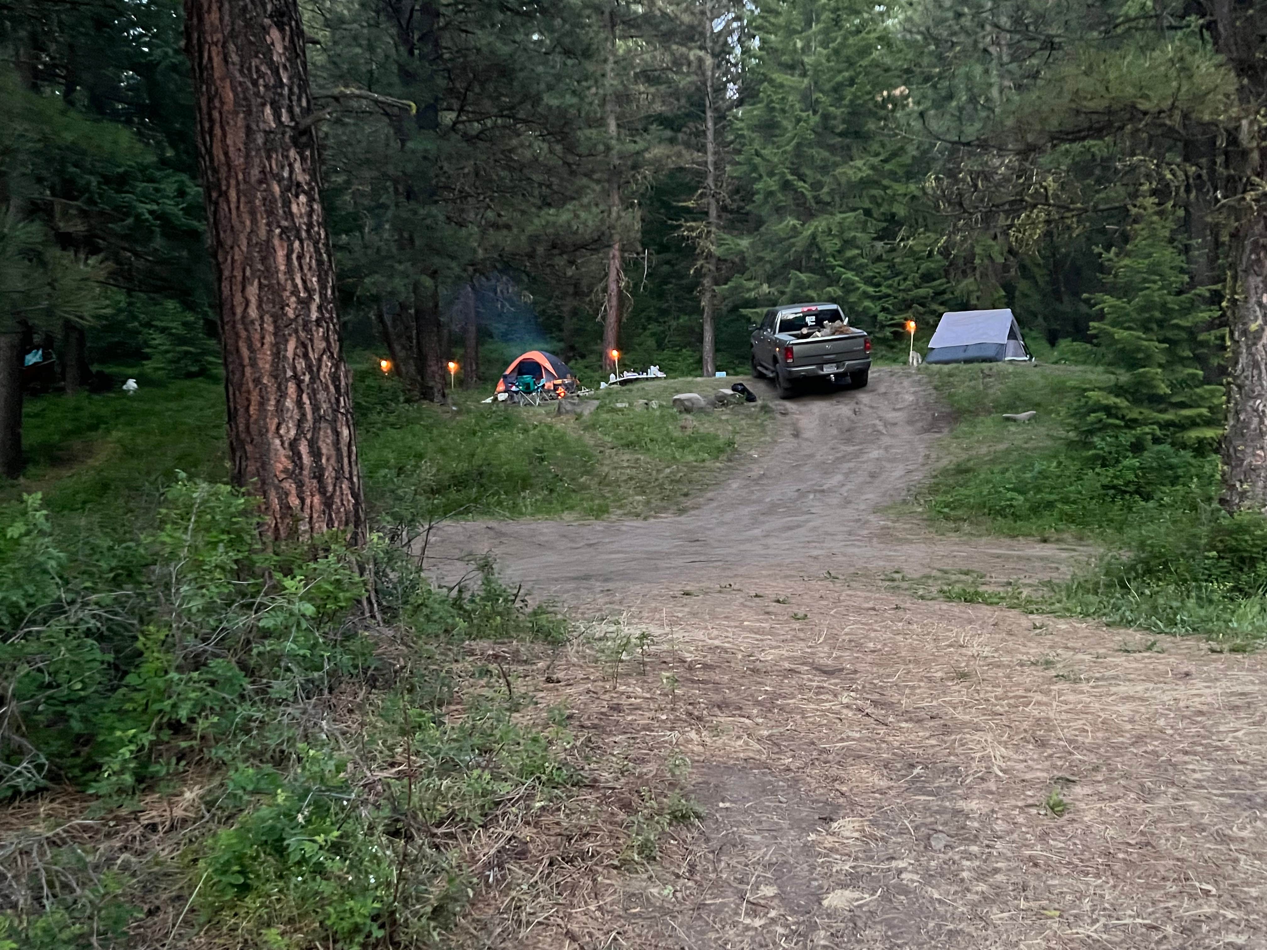 Camper submitted image from Fish Creek Dispersed - 5