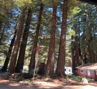 Camper-submitted photo from Santa Cruz Redwoods RV Resort