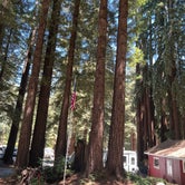 Review photo of Santa Cruz Redwoods RV Resort by RichMichelle M., July 23, 2022