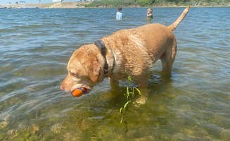 Kaylyn B.'s photo of camping with pets at Prairie View — Milford State Park near Minneapolis, KS