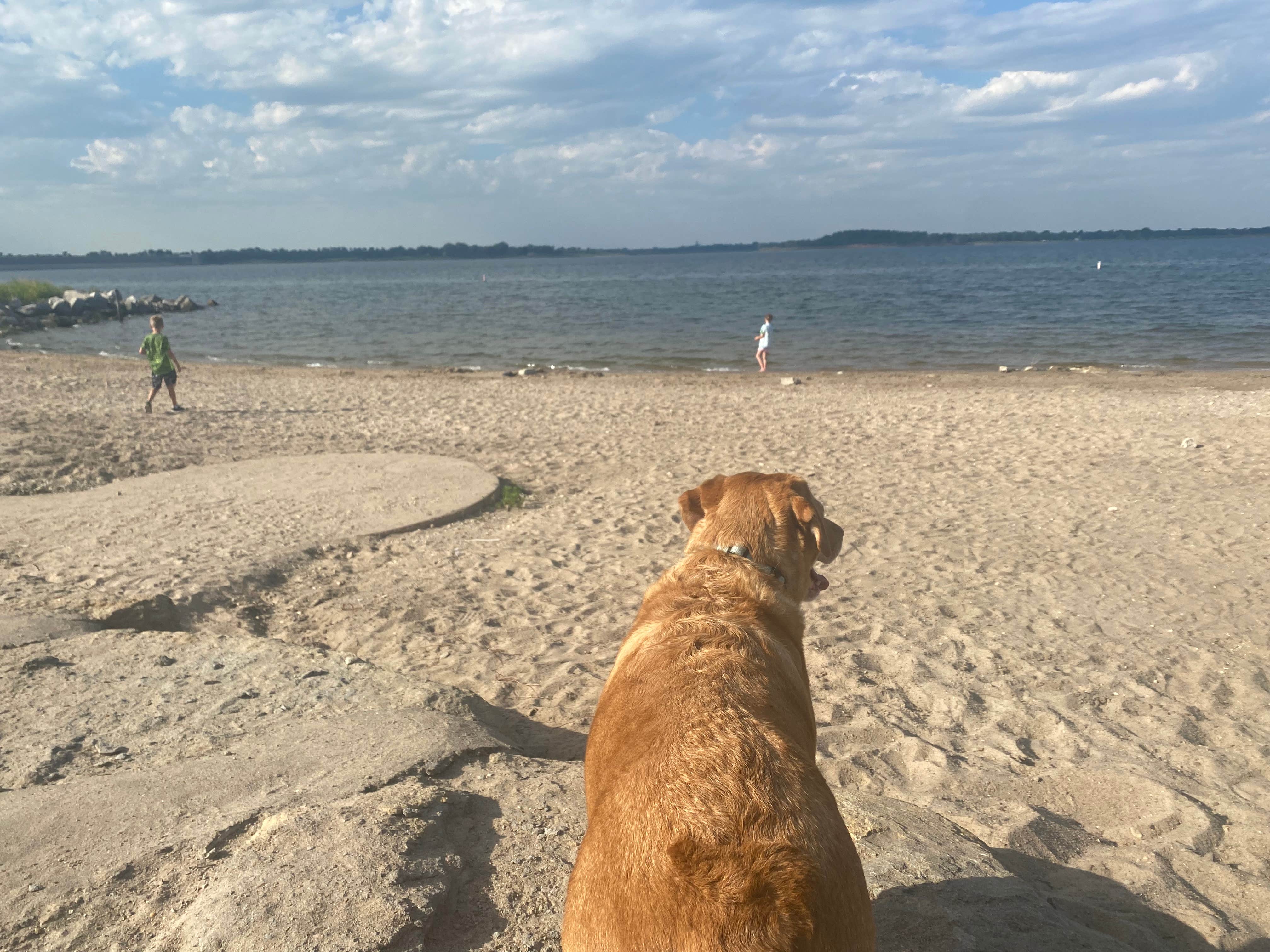 Kaylyn B.'s photo of camping with pets at Prairie View — Milford State Park near Minneapolis, KS