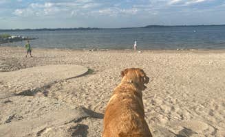 Kaylyn B.'s photo of camping with pets at Prairie View — Milford State Park near Council Grove Lake