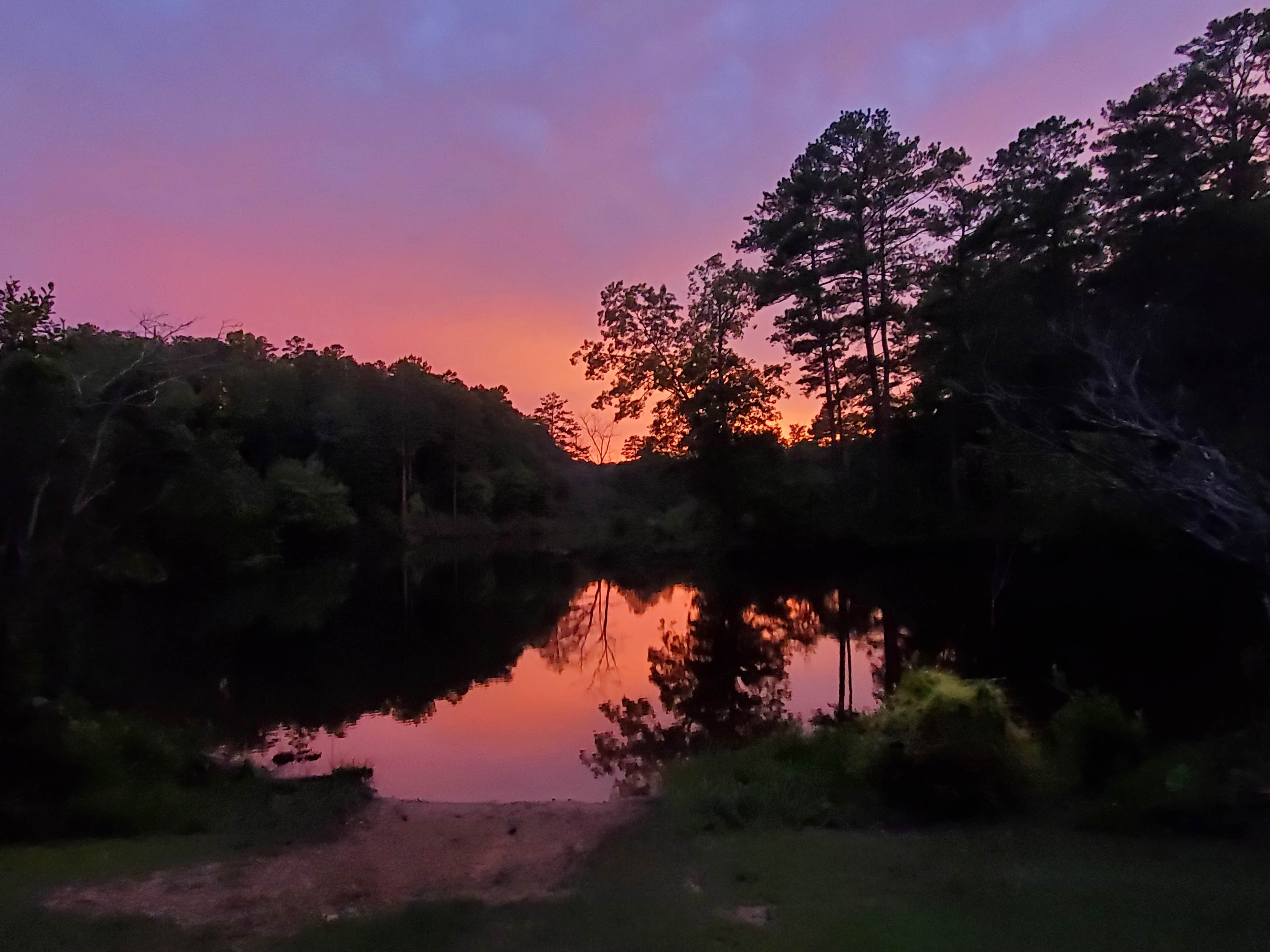 Camper submitted image from Coleman Lake Rec Area - 2