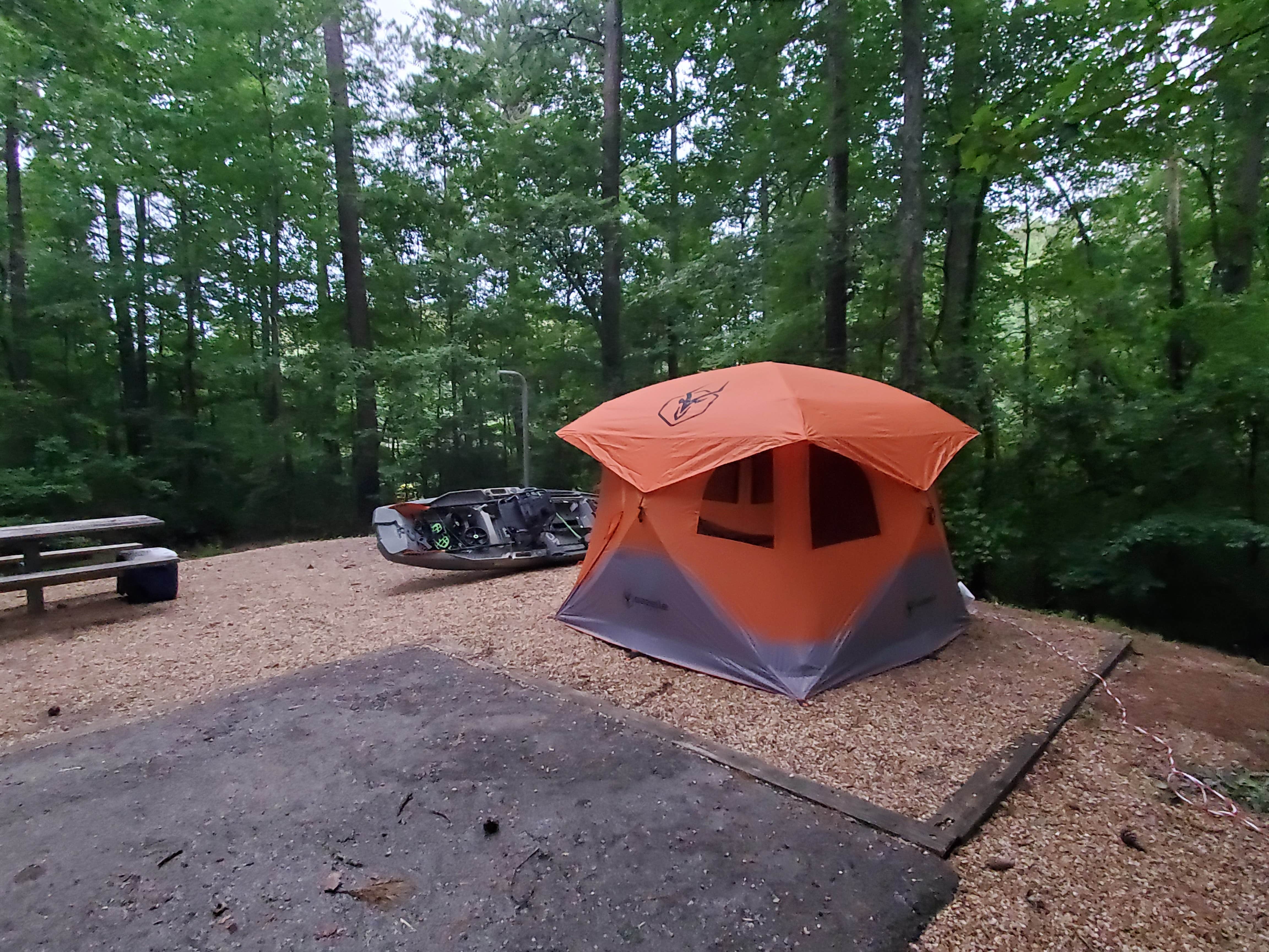 Camper submitted image from Coleman Lake Rec Area - 2