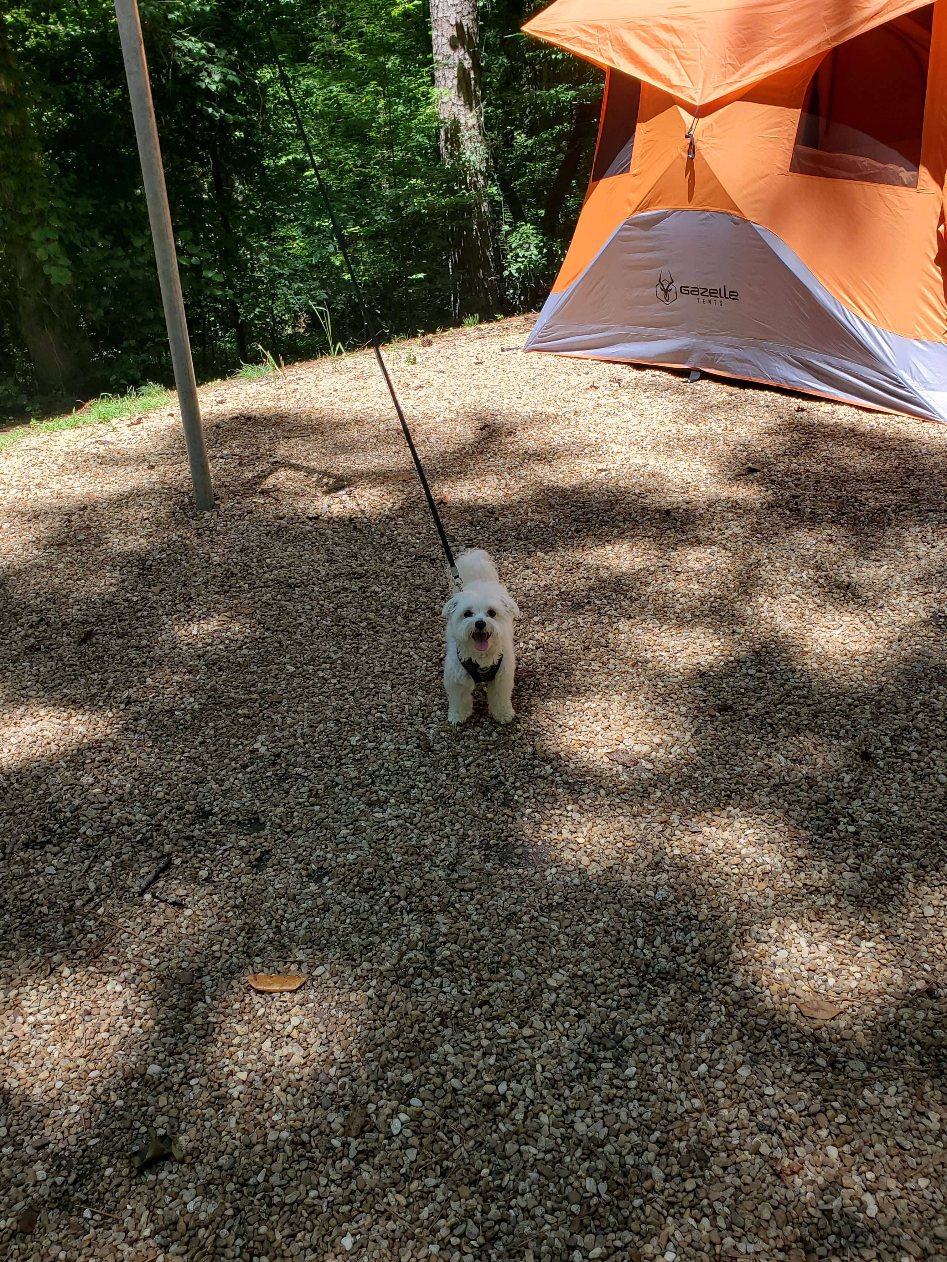 Camper-submitted photo at Coleman Lake Rec Area near Jacksonville, AL