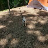 Review photo of Coleman Lake Rec Area by Steven W., July 23, 2022