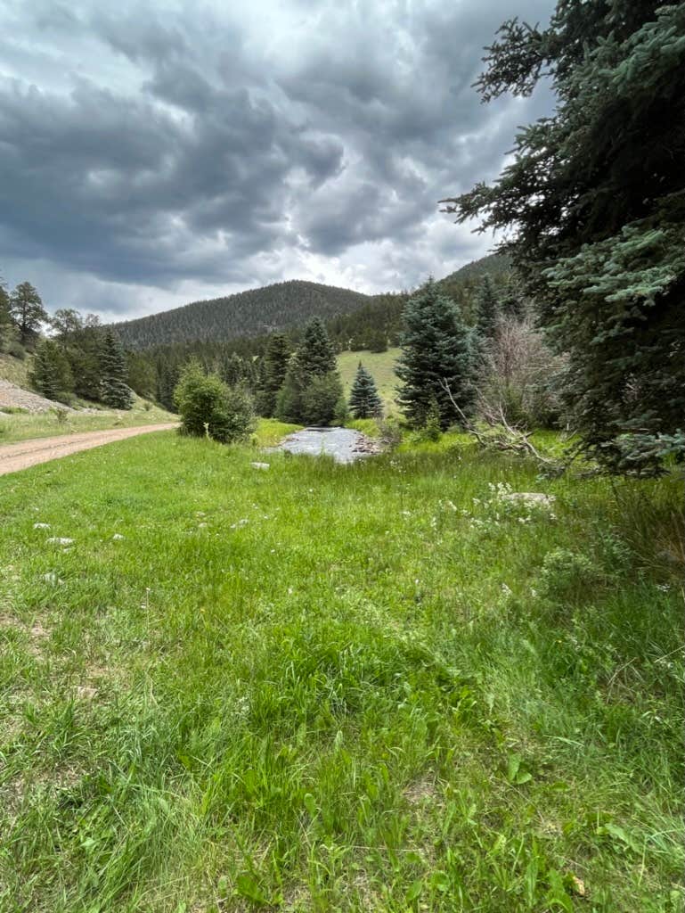 Camper-submitted photo at Rio Costilla Park near Arroyo Seco, NM