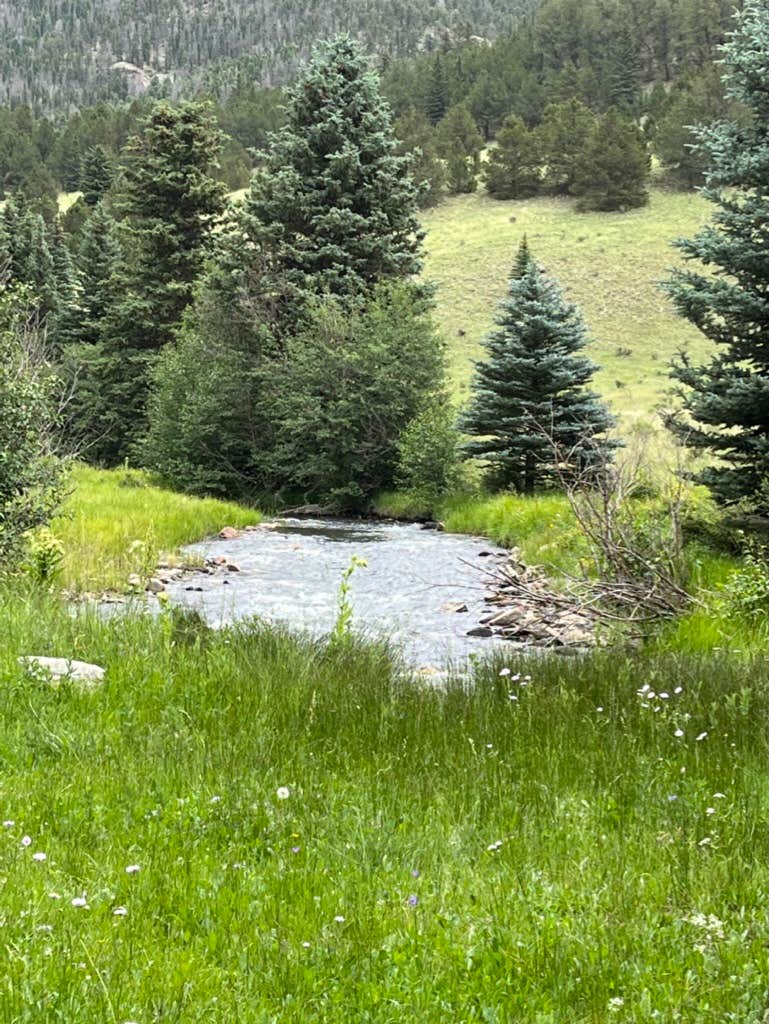 Camper-submitted photo at Rio Costilla Park near Arroyo Seco, NM