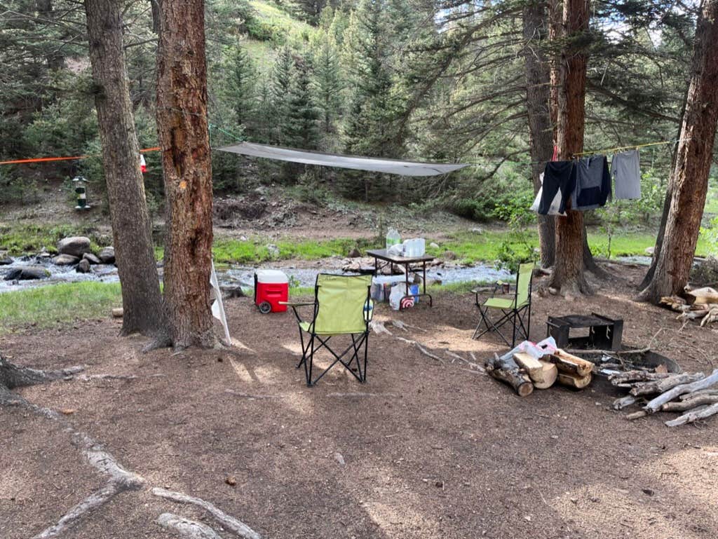 Camper submitted image from Rio Costilla Park - 5