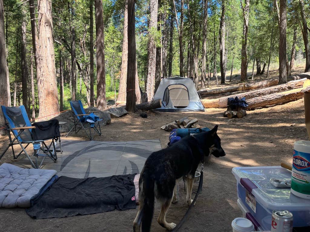 L's photo at Sly Park Recreation Area- Sierra Point near Cedar Grove, CA
