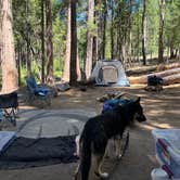 Review photo of Sly Park Recreation Area- Sierra Point by L , July 24, 2022