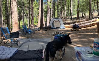 L's photo at Sly Park Recreation Area- Sierra Point near Placerville, CA