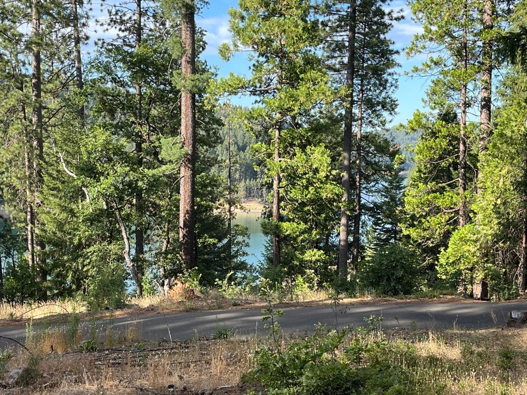 Camper submitted image from Sly Park Recreation Area- Sierra Point - 5