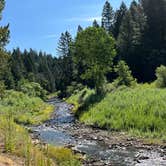 Review photo of Sly Park Recreation Area- Sierra Point by L , July 24, 2022