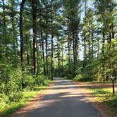 Review photo of Pinewoods Campground — Kettle Moraine State Forest-Southern Unit by Doug , July 24, 2022