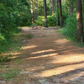 Review photo of Pinewoods Campground — Kettle Moraine State Forest-Southern Unit by Doug , July 24, 2022