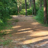 Review photo of Pinewoods Campground — Kettle Moraine State Forest-Southern Unit by Doug , July 24, 2022