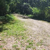 Review photo of Pinewoods Campground — Kettle Moraine State Forest-Southern Unit by Doug , July 24, 2022