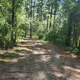 Review photo of Pinewoods Campground — Kettle Moraine State Forest-Southern Unit by Doug , July 24, 2022