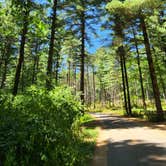 Review photo of Pinewoods Campground — Kettle Moraine State Forest-Southern Unit by Doug , July 24, 2022