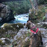 Review photo of Ohanapecosh Campground — Mount Rainier National Park by Luke J., July 20, 2018