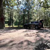 Review photo of Chickahominy WMA by Brandon L., July 24, 2022
