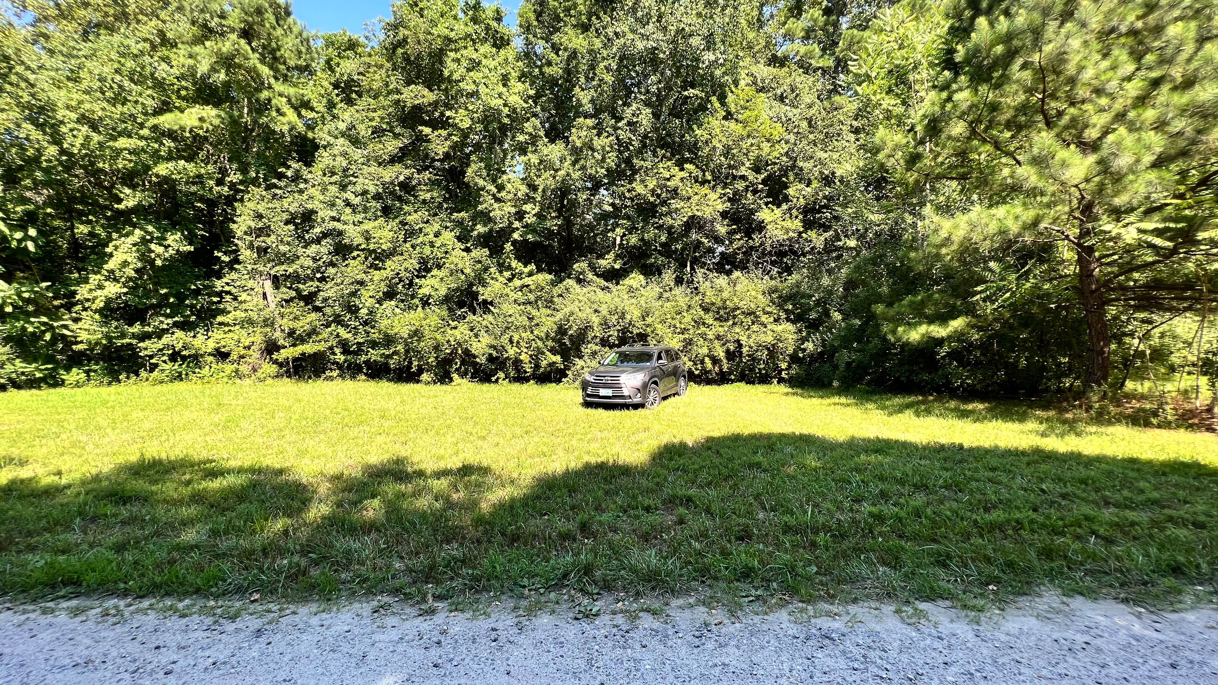 Camper-submitted photo at Chickahominy WMA near Surry, VA