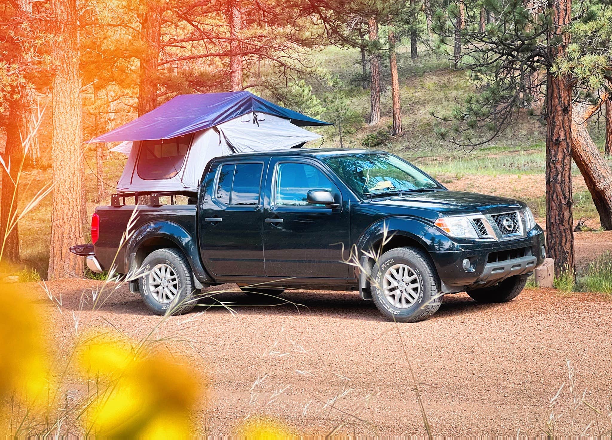 Camper-submitted photo at Blue Mountain Campground near Florissant, CO
