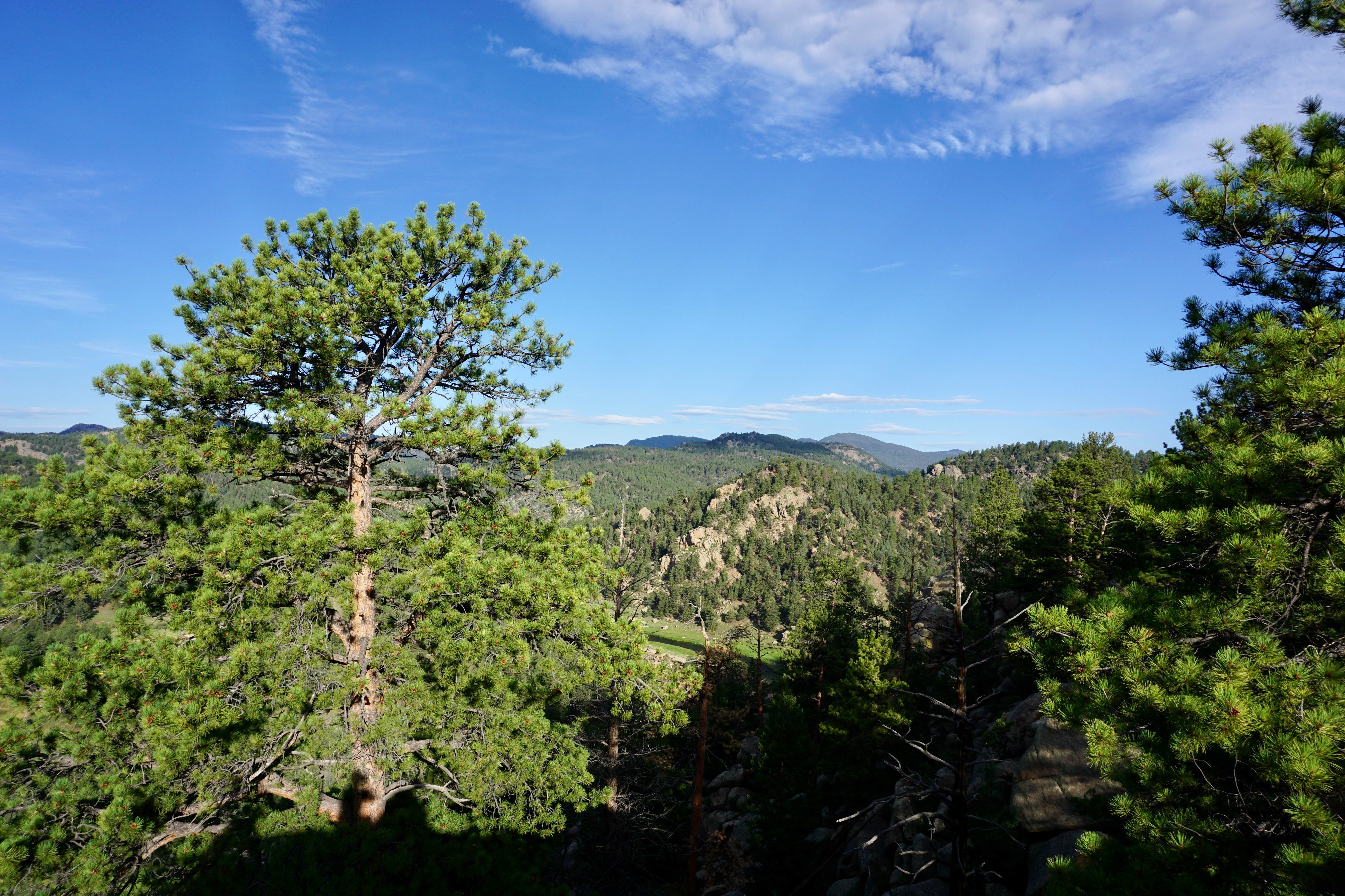 Camper-submitted photo at Blue Mountain Campground near Florissant, CO