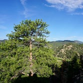 view from overlook trail
