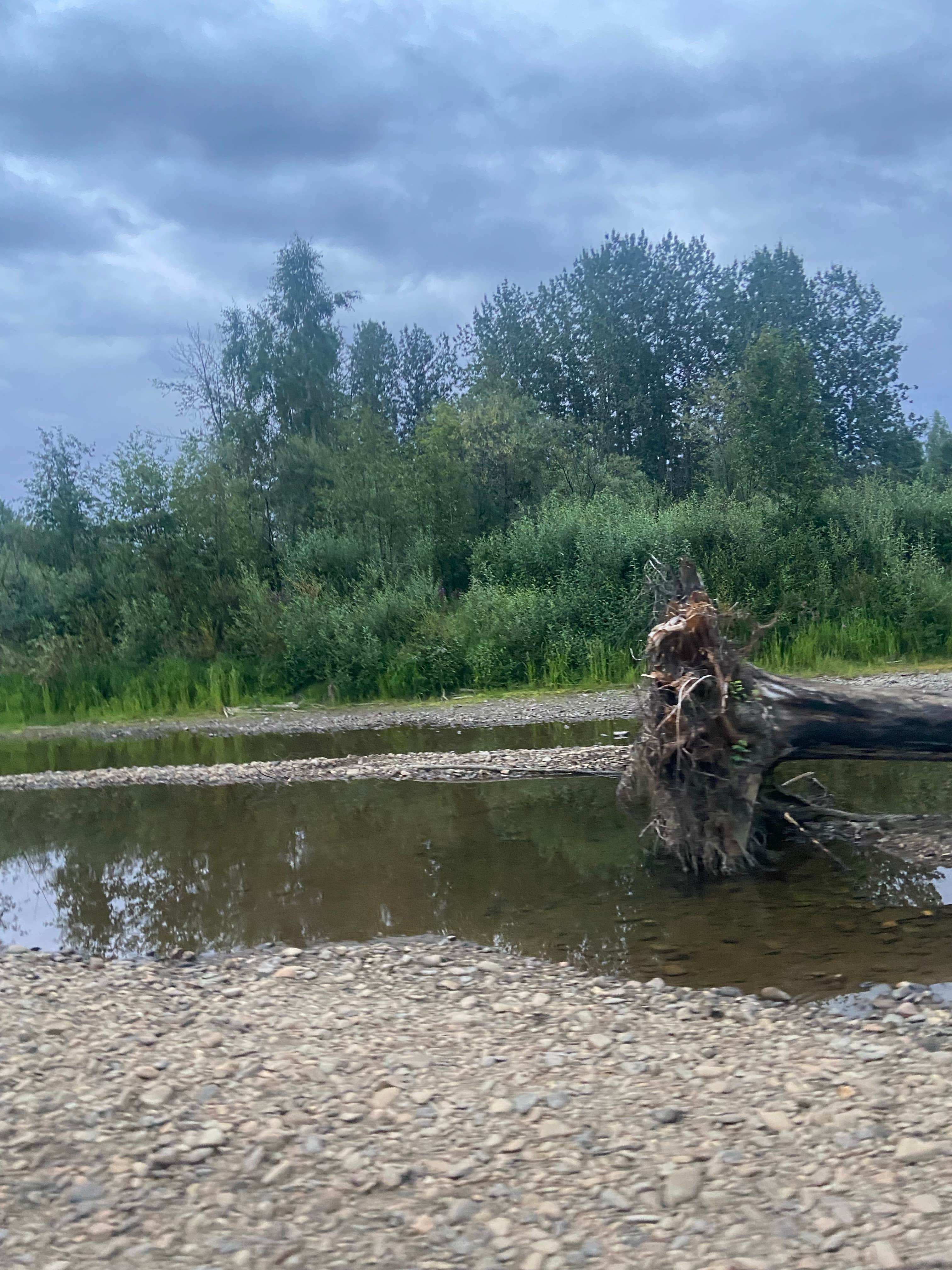 Camper-submitted photo at Whitefish Campground near Ester, AK