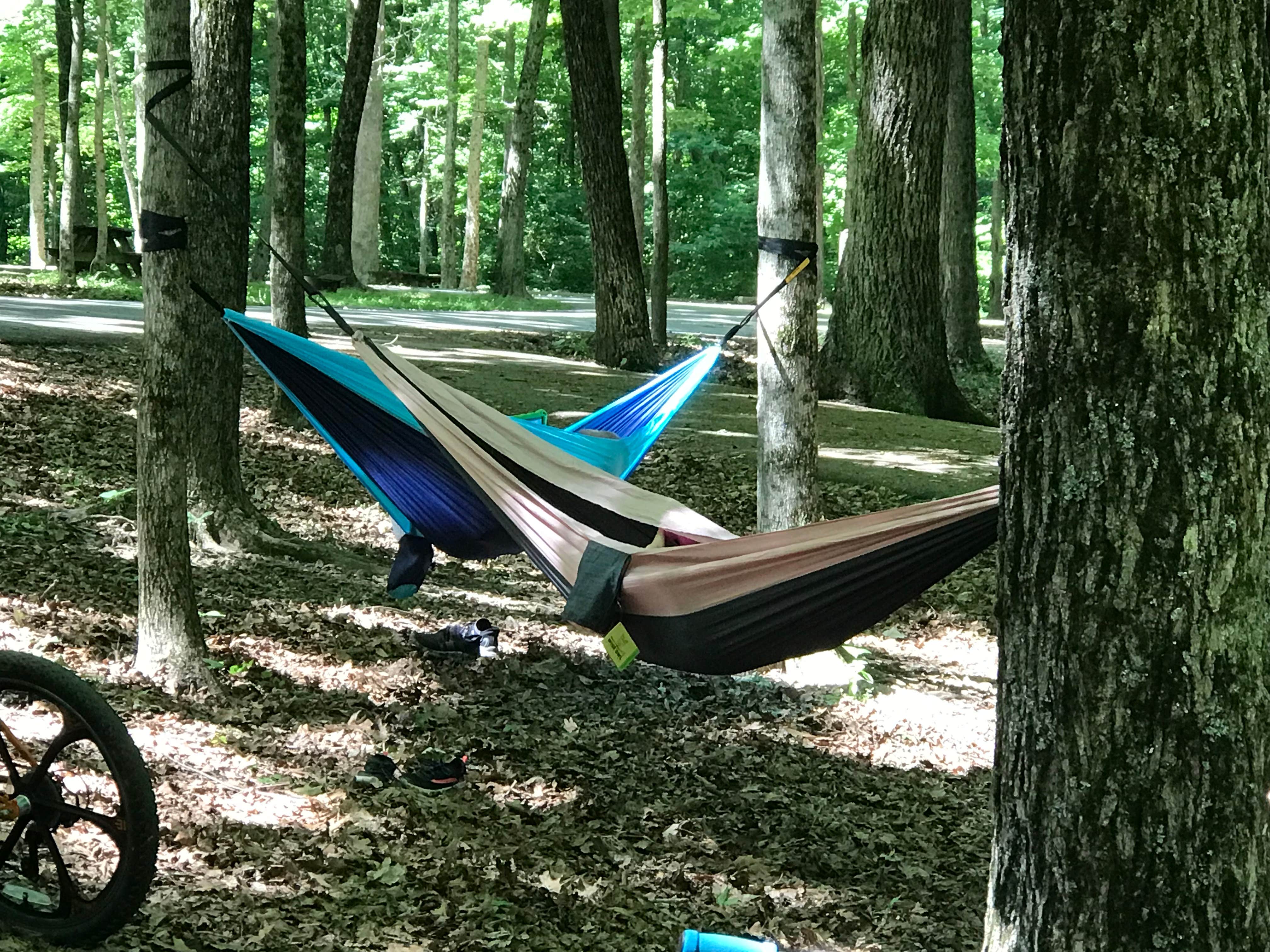 Camper submitted image from O'Bannon Woods State Park Campground - 3
