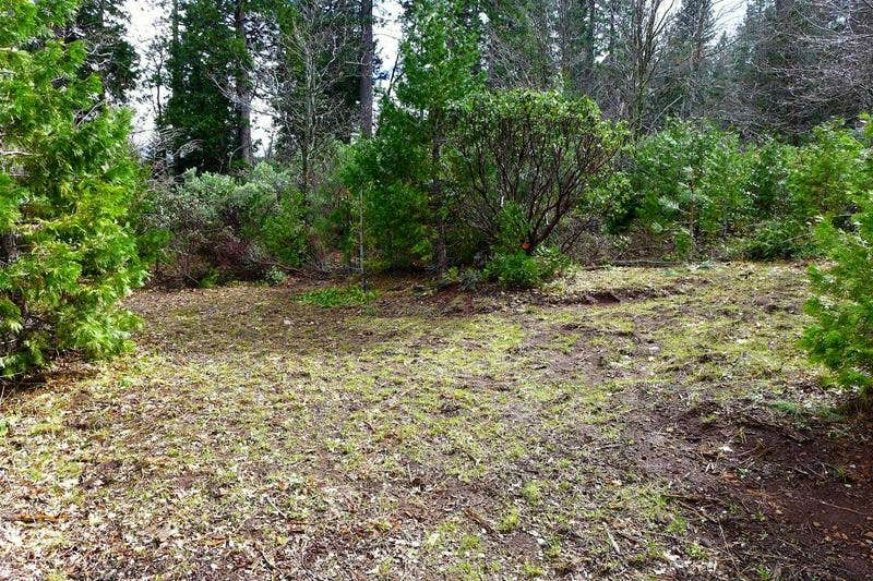 Camper-submitted photo at Mountain View Camping near Whitmore, CA