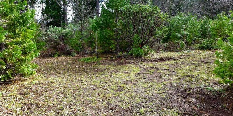 Camper submitted image from Mountain View Camping