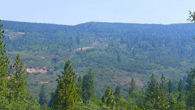 Camper-submitted photo at Mountain View Camping near Whitmore, CA