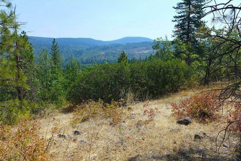 Camper-submitted photo at Mountain View Camping near Whitmore, CA