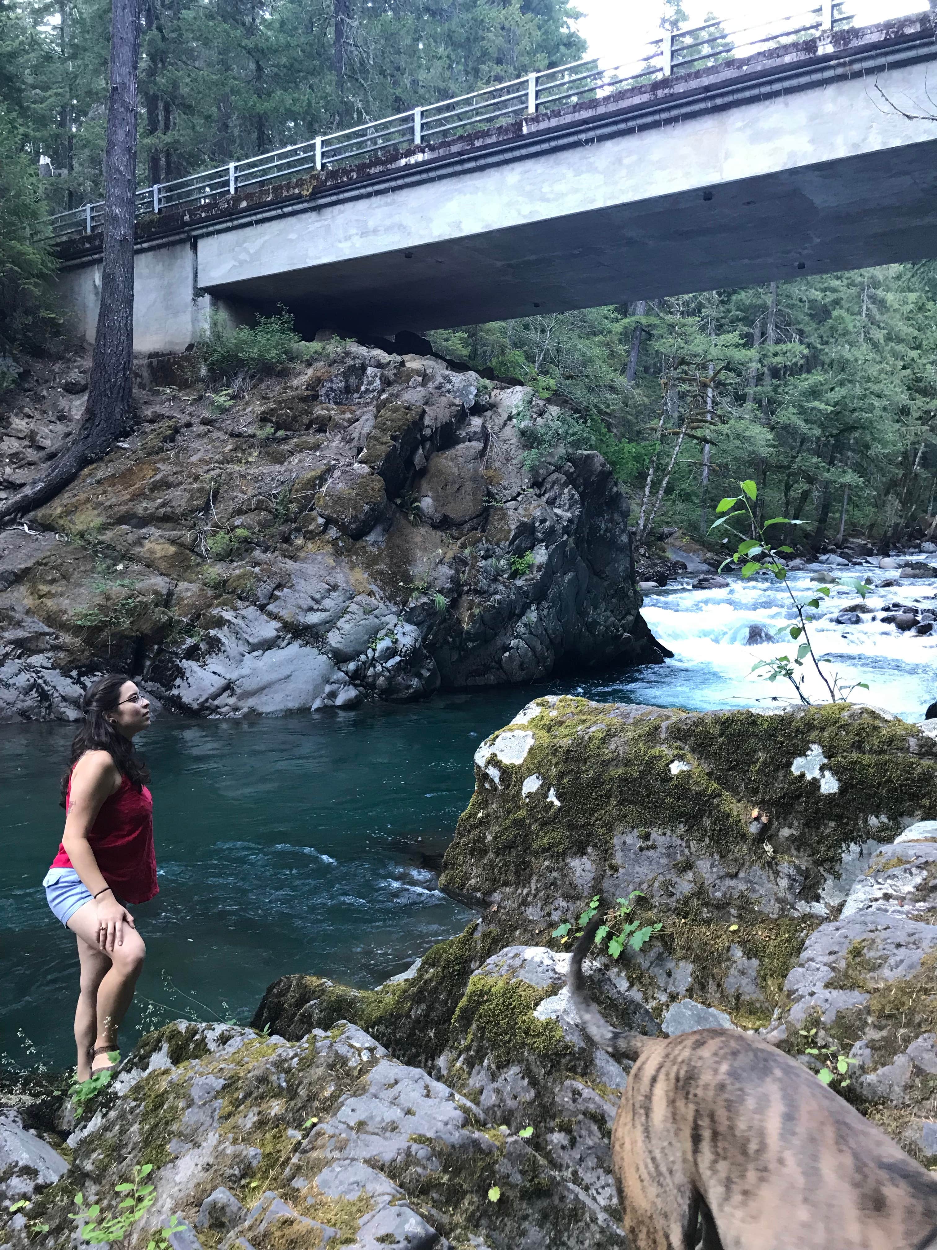 Camper-submitted photo at Ohanapecosh Campground — Mount Rainier National Park near Ashford, WA