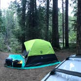 Review photo of Ohanapecosh Campground — Mount Rainier National Park by Luke J., July 20, 2018