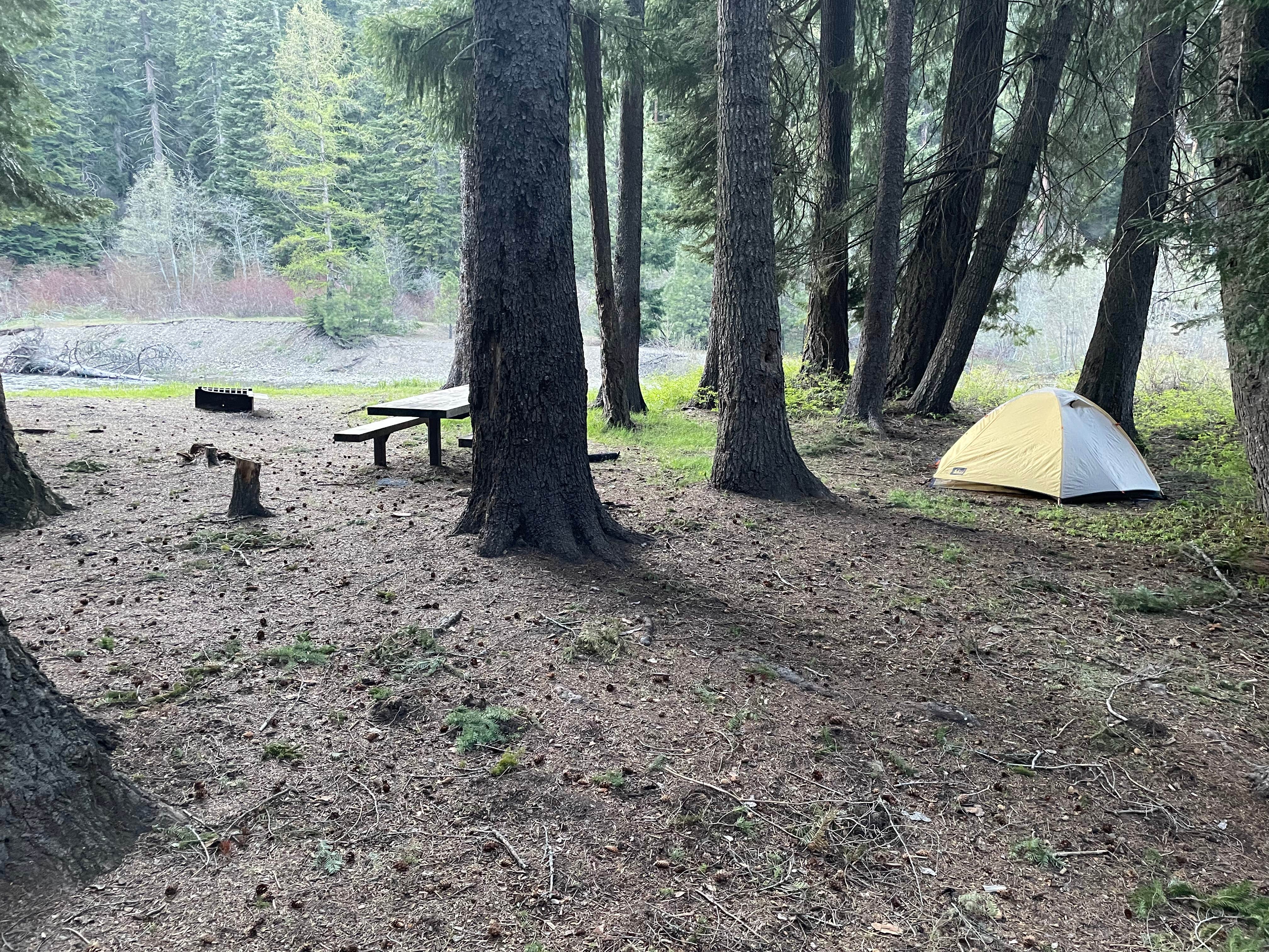 Dave L.'s photo of tent camping at Clear Lake North Campground near Goose Prairie, WA