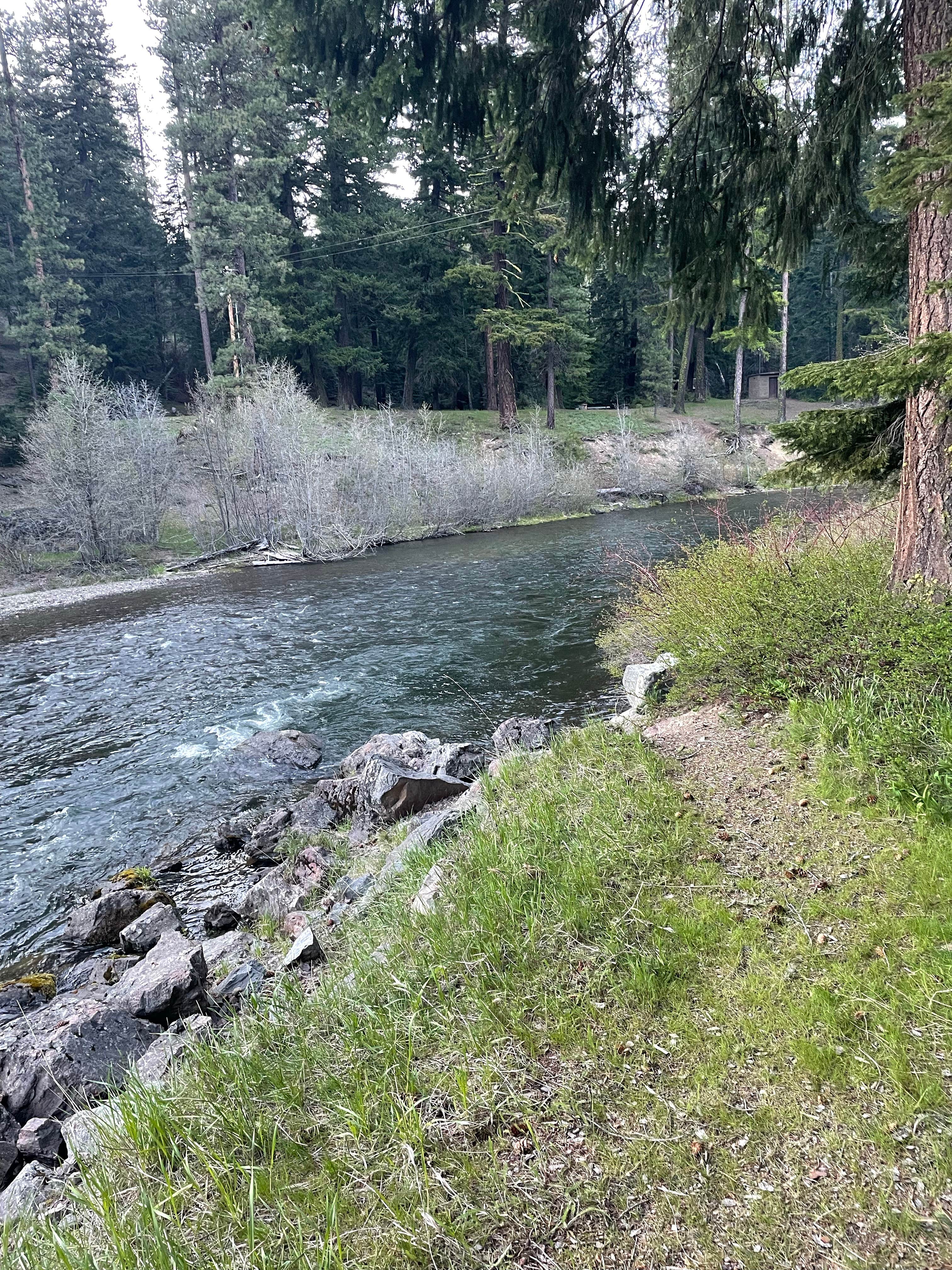 Camper-submitted photo at Clear Lake North Campground near Goose Prairie, WA