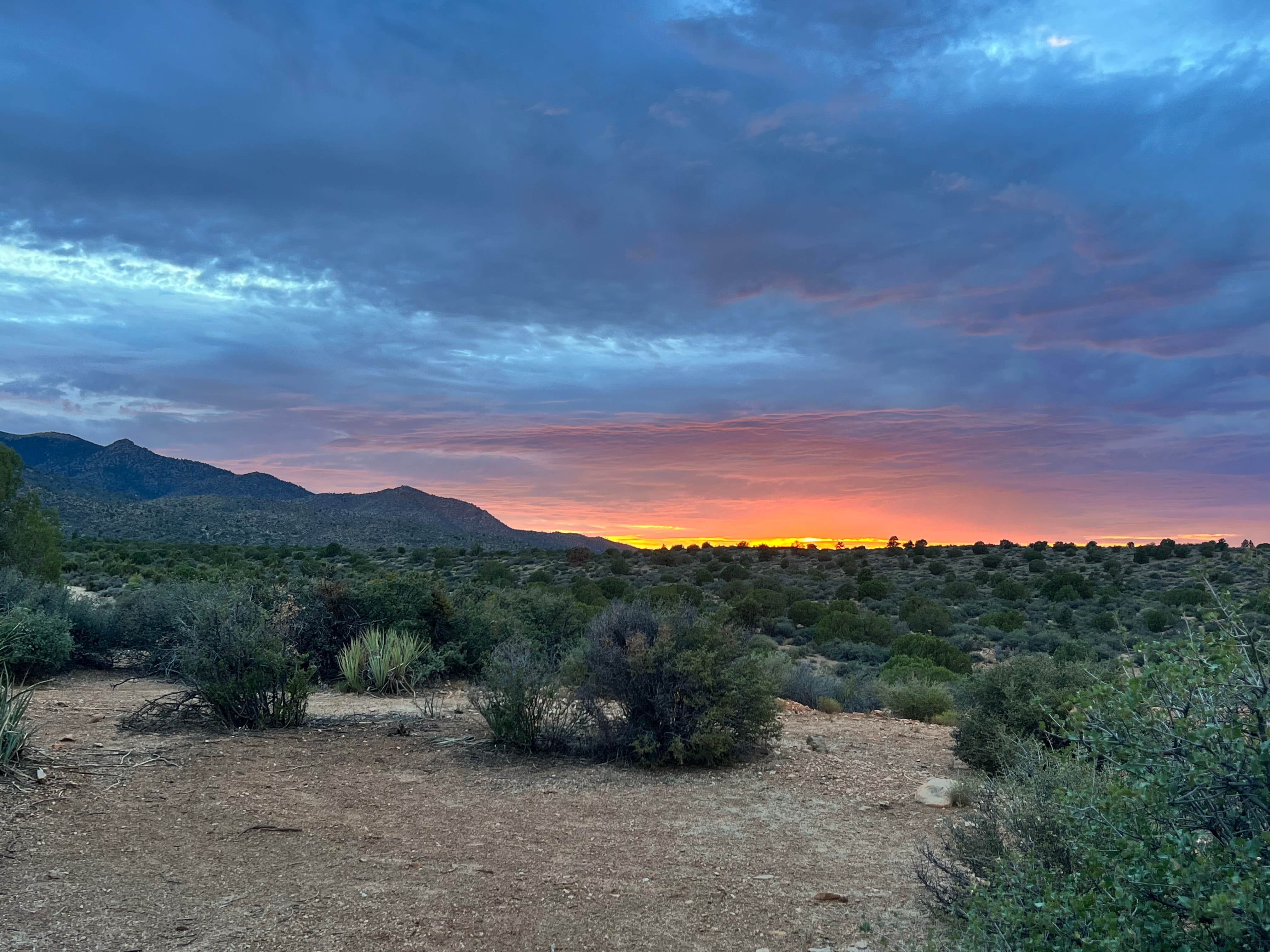 Andrew H.'s photo of a dispersed camping area at Hwy 193 BLM Dispersed near Kingman, AZ