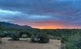 Andrew H.'s photo of a dispersed camping area at Hwy 193 BLM Dispersed in Arizona