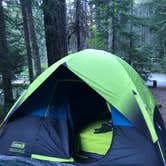 Review photo of Ohanapecosh Campground — Mount Rainier National Park by Luke J., July 20, 2018